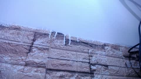 Victoria online show from April 4, 8:34 am