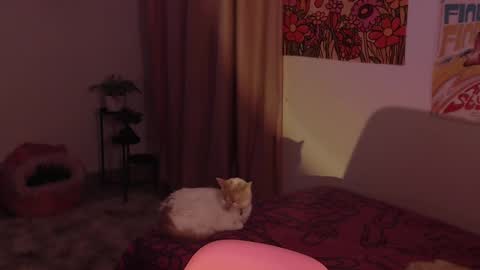    online show from December 18, 11:30 pm