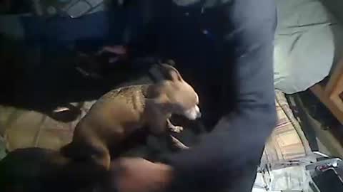 hornyscott666 online show from March 4, 9:04 am