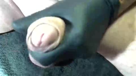 horse_dick9 online show from September 11, 11:43 am