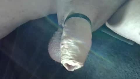 horse_dick9 online show from October 9, 10:46 am