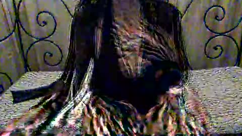 Dina online show from November 1, 8:11 pm