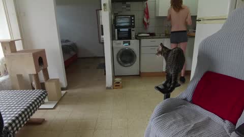 Snapshot of hotinhell666 chatting on December 24, 9:50 am Hikikomori Alex online show from December 24, 9:50 am