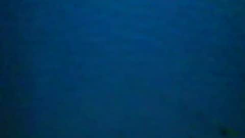 Snapshot of hotsurfdude1992 chatting on October 9, 10:13 am hotsurfdude1992 online show from October 9, 10:13 am