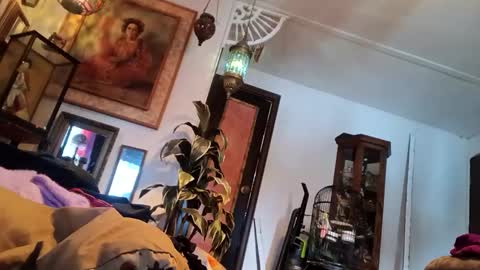 houndmefromhell online show from March 5, 9:59 pm