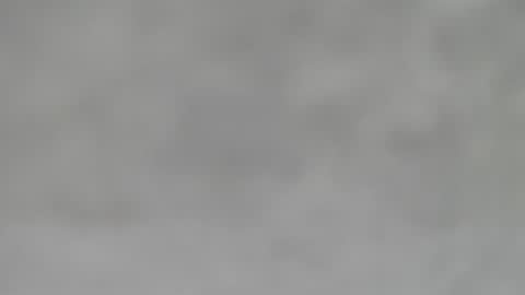 Snapshot of hourg chatting on January 31, 5:51 am Slutty little female cat online show from January 31, 5:51 am