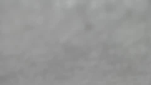 Snapshot of hourg chatting on October 12, 4:33 am Slutty little female cat online show from October 12, 4:33 am