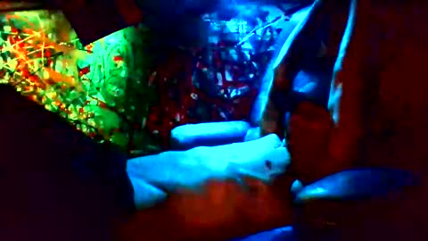 ask me online show from January 12, 11:28 am