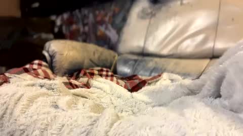 ask me online show from October 11, 3:06 am