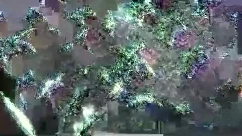 hp58649blabla online show from September 17, 1:07 am