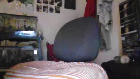 Snapshot of hrnyymff chatting on November 28, 5:04 pm hrnyymff online show from November 28, 5:04 pm