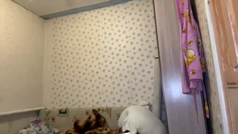 hsiuscherich online show from January 12, 12:10 pm