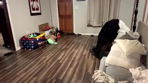 htwnswangn9 online show from March 31, 3:30 am