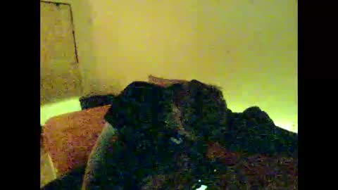 Snapshot of hugobergeron chatting on January 4, 10:49 am HugoBergeron82 online show from January 4, 10:49 am