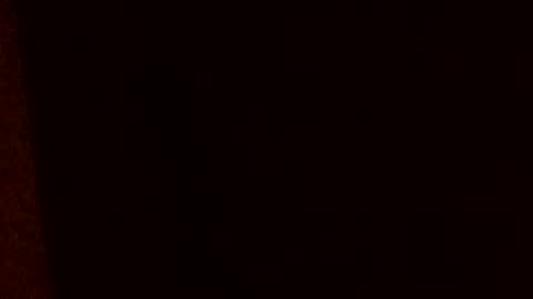 huidos2006 online show from February 17, 8:44 am