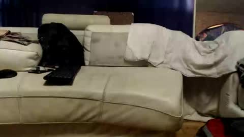 Snapshot of huippari chatting on September 29, 12:32 pm huippari online show from September 29, 12:32 pm