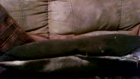 hung420boner online show from March 3, 5:41 pm