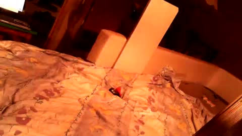 hungryanalslut online show from February 18, 10:58 pm