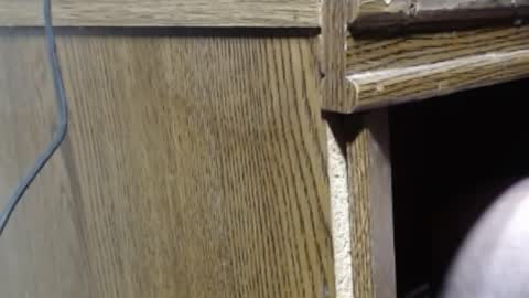 hungsofine online show from December 26, 7:27 pm