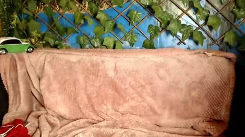 Snapshot of hustle6930 chatting on December 21, 4:30 am Kayla online show from December 21, 4:30 am