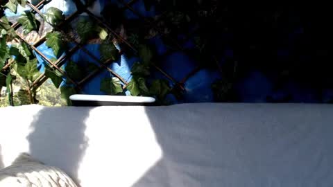 Snapshot of hustle6930 chatting on March 3, 8:38 am Kayla online show from March 3, 8:38 am