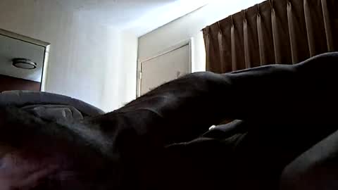 Hypsterical online show from August 5, 12:41 pm
