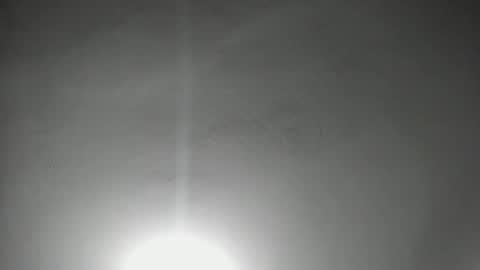 NAHO online show from March 8, 11:19 pm