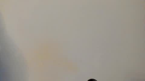 Snapshot of ian_castillo_ chatting on February 24, 11:08 am IAN CASTILLO online show from February 24, 11:08 am