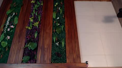 Ian Davis online show from March 4, 7:54 pm