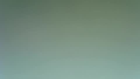 Snapshot of idkwhattowatch chatting on December 23, 9:08 pm idkwhattowatch online show from December 23, 9:08 pm