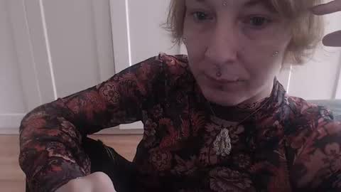 Ifk Donkeys online show from November 11, 10:26 am