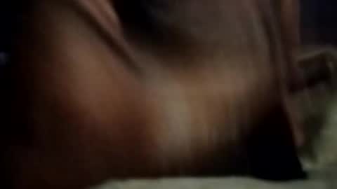 ihktqjtwzczh online show from February 27, 12:05 pm