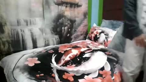 Snapshot of ilovebunny69 chatting on November 19, 2:55 am ilovebunny69 online show from November 19, 2:55 am