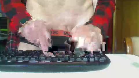 Aussie Guy online show from October 21, 12:33 am