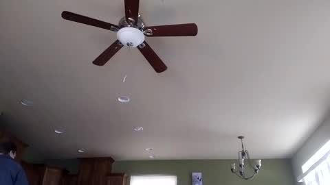 Snapshot of iminyourroom chatting on January 31, 8:22 pm Iminyourroom online show from January 31, 8:22 pm