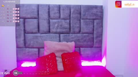 Snapshot of imsofy_1 chatting on February 8, 11:45 pm sofy online show from February 8, 11:45 pm