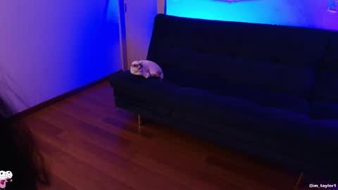 TAYLOR  online show from October 24, 1:03 am