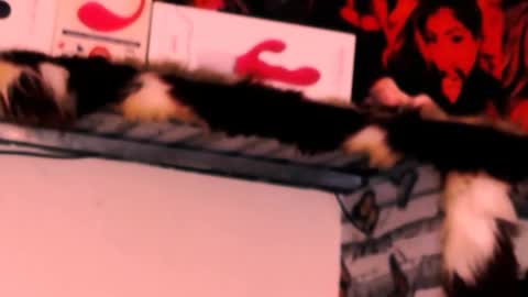 Snapshot of indian_dreamgirl chatting on November 24, 12:32 am Bella Ambrosia online show from November 24, 12:32 am