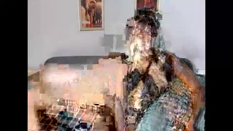 Sammy online show from June 9, 10:27 am