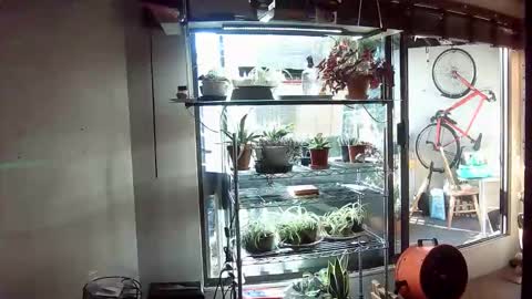 BroLOU online show from June 11, 2:53 am