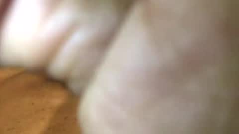 Snapshot of internationalgodfather chatting on January 27, 3:18 pm InternationalGodFather online show from January 27, 3:18 pm