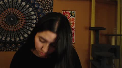 Africa online show from December 5, 2:31 am