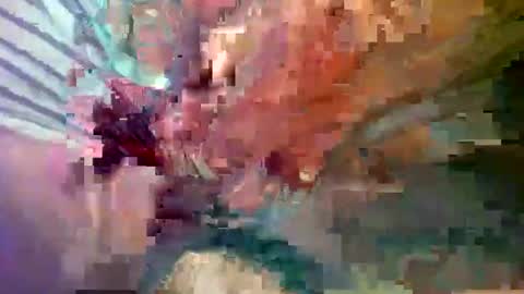 Snapshot of ipuck55 chatting on December 14, 8:18 pm ipuck55 online show from December 14, 8:18 pm