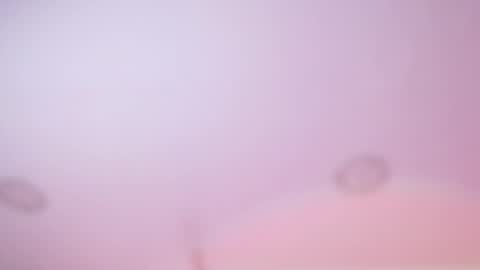 Iirs online show from February 18, 3:02 am