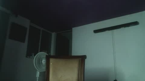 Snapshot of irisbell_ chatting on January 5, 2:49 am Camilla online show from January 5, 2:49 am