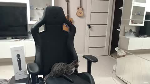 Irwi Tomboy online show from December 26, 11:24 pm