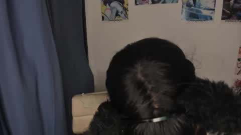Snapshot of isabell_xstar chatting on March 3, 2:47 am isa 3 online show from March 3, 2:47 am
