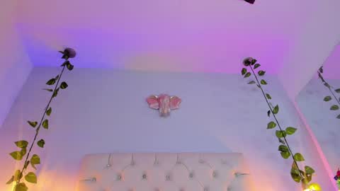 Snapshot of isabella_flowerss chatting on January 8, 3:19 am online show from January 8, 3:19 am
