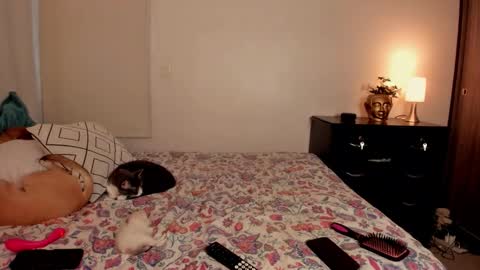 Isa online show from October 31, 10:00 pm