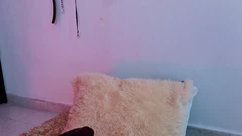 Issafoxx online show from April 13, 12:10 pm